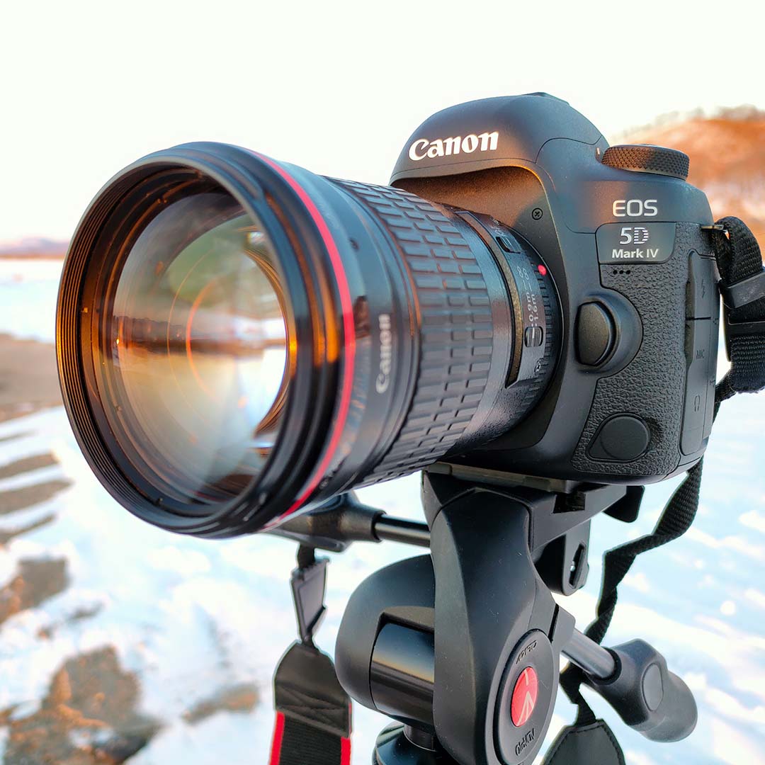 Cámara DSLR marca Canon 5D Mark IV.