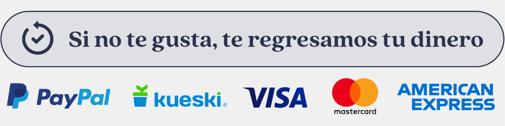 Formas de pago con logos: PayPal, Kueski VISA, Mastercard y American Express.