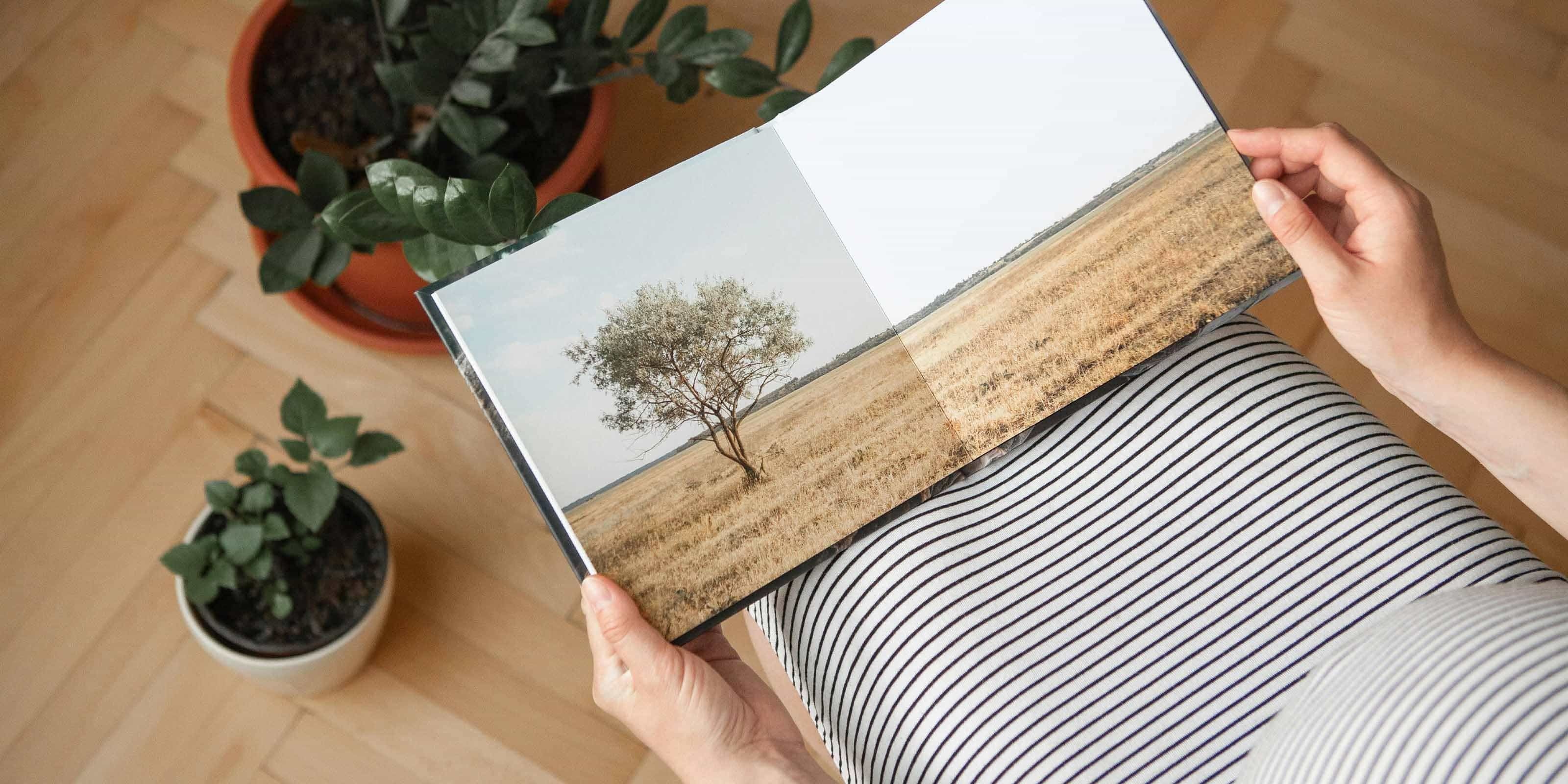 Un photobook abierto con foto panorámica de un árbol.