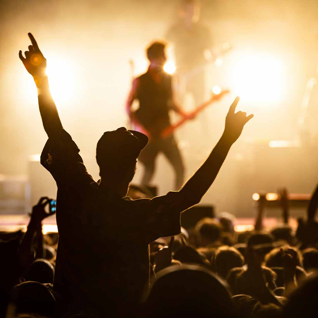 Público de concierto en vivo.