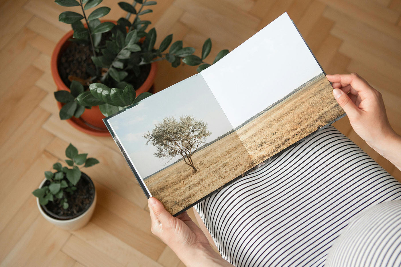 Photobook: Guía, consejos e inspiración para crear el fotolibro perfecto.