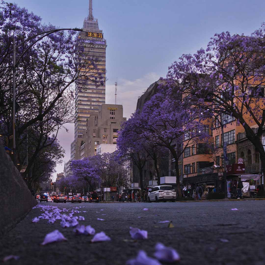 Torre Latinoamericana de la CDMX.